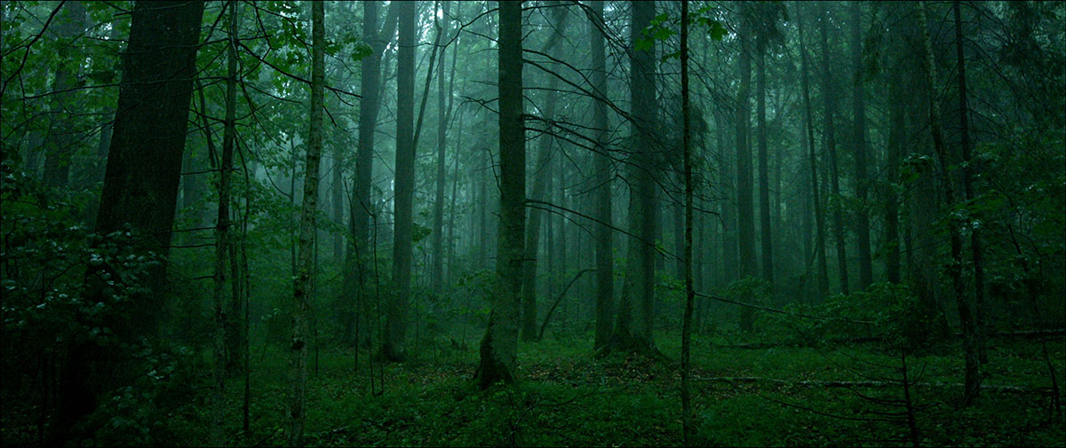 Bild für den Film The Ancient Woods